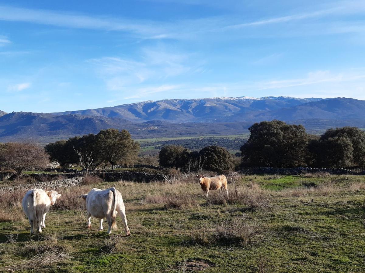 Casa Rural Mi Descanso Valdefuentes de Sangusín エクステリア 写真
